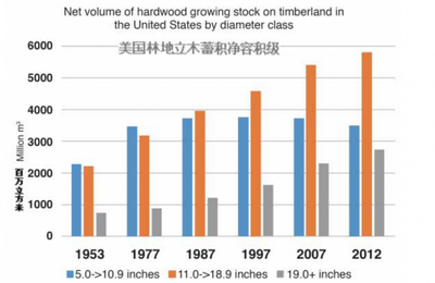為什么北美洲的天然硬木森林資源對于亞洲制造商來說如此重要呢?