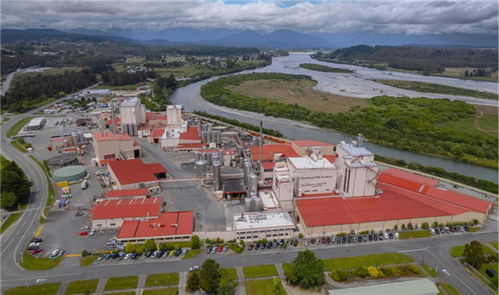 架起中澳合作 乳業(yè)橋梁 伊利出席中澳工商界首席執(zhí)行官圓桌會