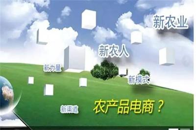 加快農(nóng)業(yè)信息化建設(shè)，拓展農(nóng)產(chǎn)品營銷新渠道